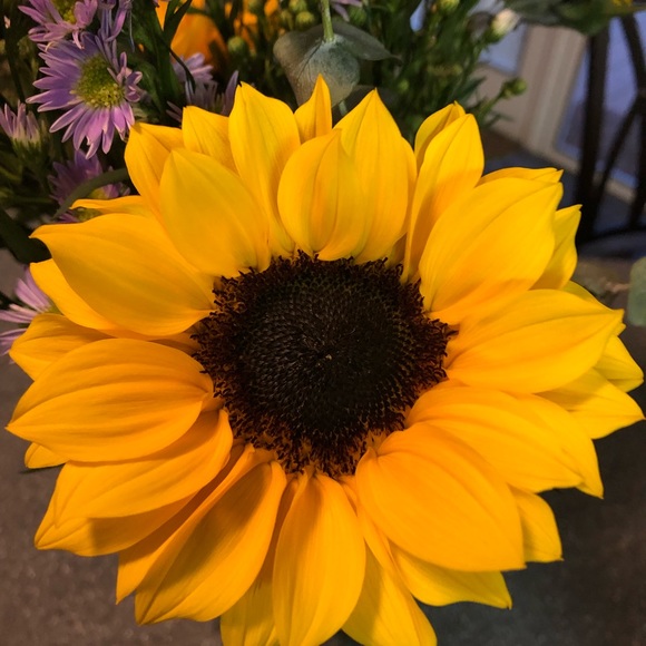 Meet your Posher, Vicky - Picture 1 of 1